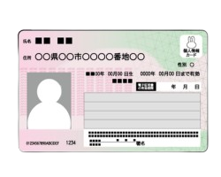 マイナンバー